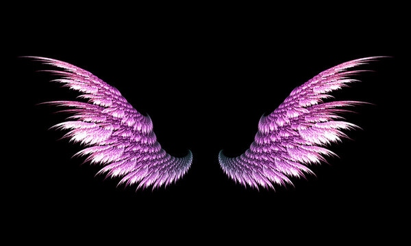 picture of two purple wings