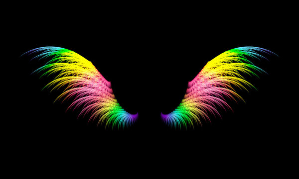 picture of two wings of various colors