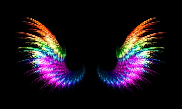 picture of two wings of various colors
