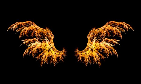 picture of two burning wings