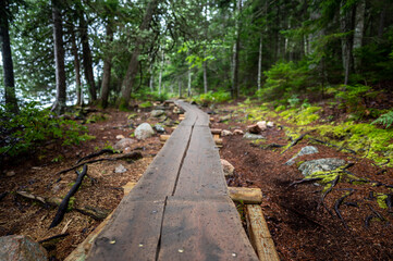 Elevated boardwalk path along western edge of Jordan Pond in Acadia National Park, Maine, USA