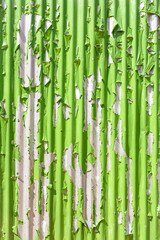 Obraz premium Green wall paint, gliding.