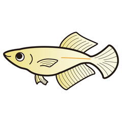 ヒカリメダカのイラスト