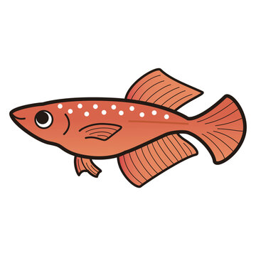recommend clip art: シンプルなヒカリメダカのイラスト