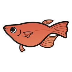 シンプルな半ダルマメダカのイラスト