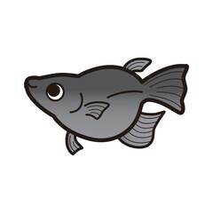 シンプルなダルマメダカのイラスト