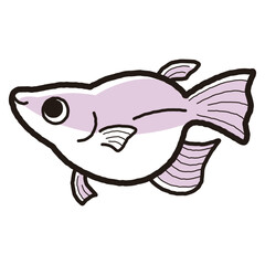 シンプルなダルマメダカのイラスト
