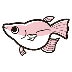 シンプルなダルマメダカのイラスト