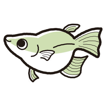 recommend clip art: シンプルなダルマメダカのイラスト