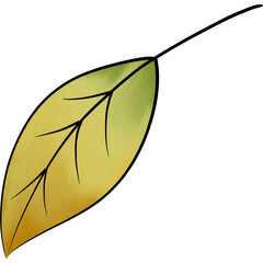 watercolour leaf