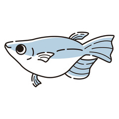 シンプルな半ダルマメダカのイラスト
