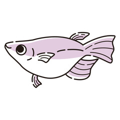 シンプルな半ダルマメダカのイラスト