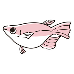 シンプルな半ダルマメダカのイラスト
