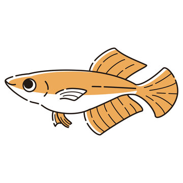 recommend clip art: シンプルなヒカリメダカのイラスト