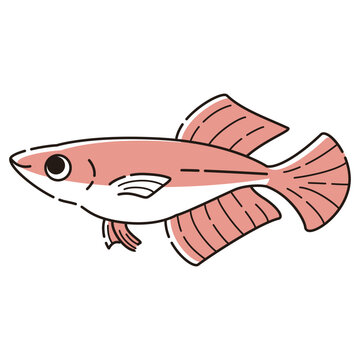 recommend clip art: シンプルなヒカリメダカのイラスト