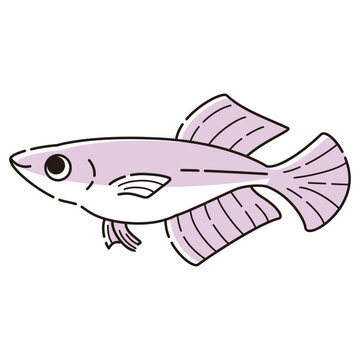 recommend clip art: シンプルなヒカリメダカのイラスト