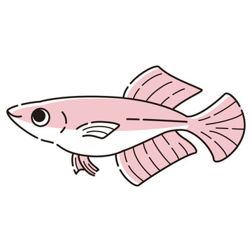 recommend clip art: シンプルなヒカリメダカのイラスト