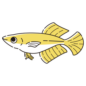 recommend clip art: シンプルなヒカリメダカのイラスト