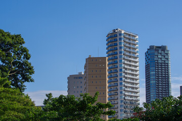 Obraz premium 青空と港区の建物たち