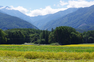 渓谷の風景 K3CP6325