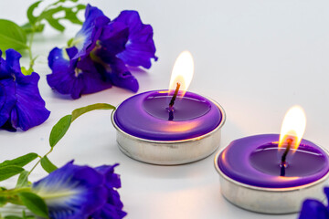 Obraz na płótnie Canvas herbal candle aromatherapy extract purple flowers butterfly pea for health care arrangement flat lay style on background white 