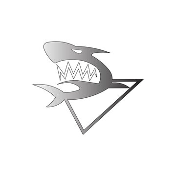 vector fish shark fire illustration design