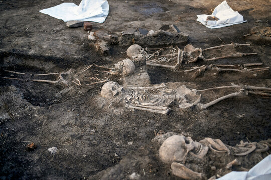 Medieval human remains unearthed during archaeological excavations