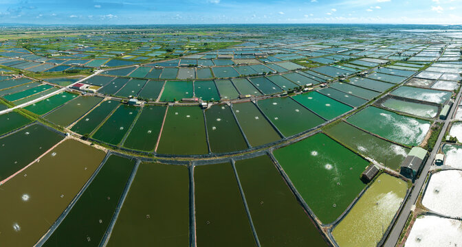 Aerial view of shrimp farm in Taiwan