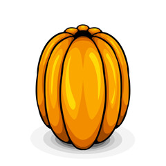 pumpkin isolated on white background