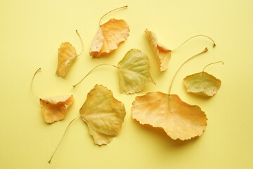 Hello autumn concept. Yellow leaves on a yellow background.
