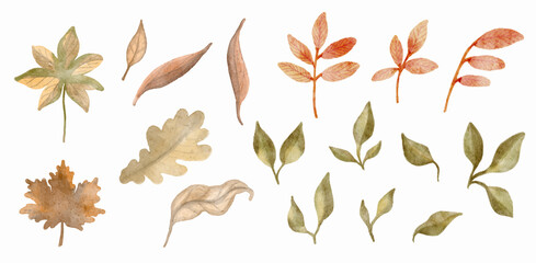 Watercolor set of beautiful colourful autumn leaves in vector.