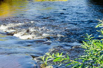 Overflow in the course of the river. The water reflects the vegetation beautifully.