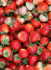 Strawberries close-up on background in supermarket