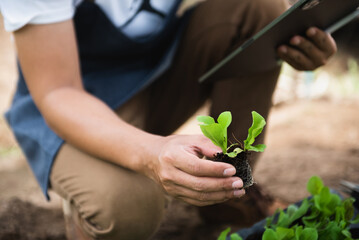 Biologists and scientists are studying the genetic structure of vegetables in a greenhouse.