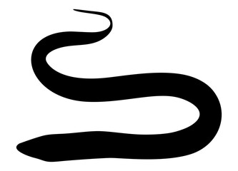 Eel Silhouette for Logo, Pictogram, Website, Apps and or Graphic Design Element. Format PNG