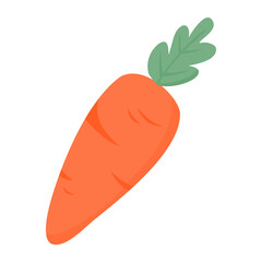 hand drawn vegetables carrot
