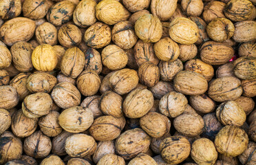 noci biologiche selvatiche dei boschi