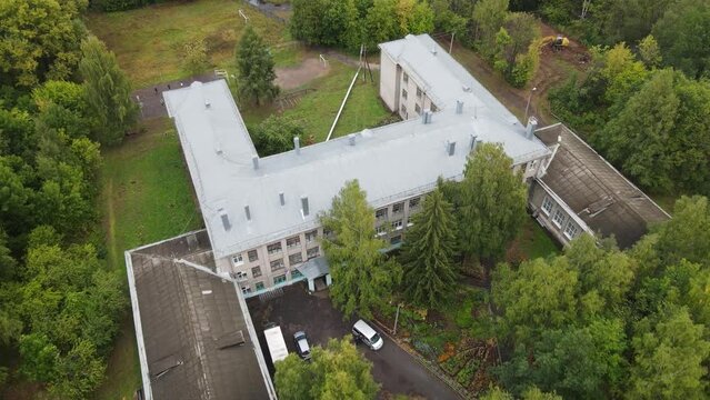 View of green trees in countryside