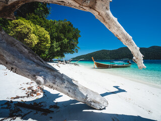 Scenic view of Koh Ra Wi Island white sand beach, clear turquoise sea and long tail boat against summer blue sky with dead tree trunk foreground. Near Koh Lipe Island, Tarutao, Satun, Thailand.