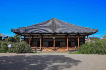奈良　元興寺　極楽堂の萩　正面アングル
