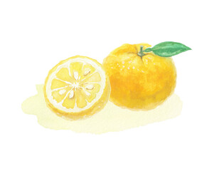 水彩絵の具で描いた柚子イラスト