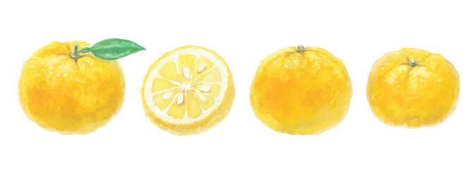 水彩絵の具で描いた柚子イラスト