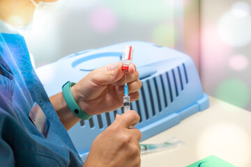 Veterinarian holding syringe with vaccine near pet carrier in clinic. Treatment and pet care. Annual rabies vaccination. Close up