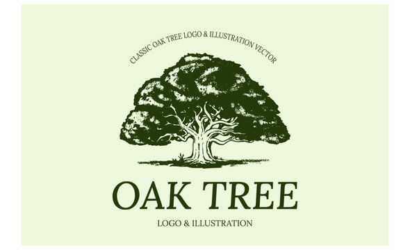 classic logo and illustration of oak tree isolated vector.