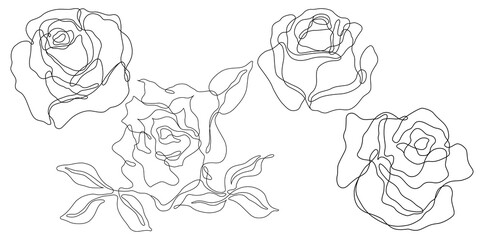 Rose flower png. Set of hand drawn sketches. Line Ink drawing.