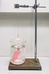 Homemade osmometer in which a solution-filled dialysis tube is placed in a glass of water. Experiment in biology class demonstrating the principle of osmosis. - obrazy, fototapety, plakaty