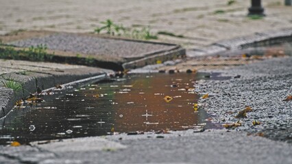 Fototapeta premium Rain Drops Splashing on Surface of Water Puddle Formed by Asphalt Street Curb