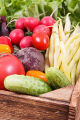 Fresh vegetables as source minerals and vitamins. Healthy lifestyles, slimming and dieting