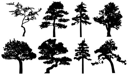 Png silhouette of trees. Isolated eps 10.