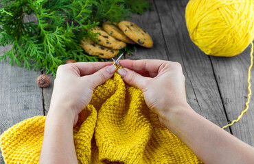 Female hands knitting yellow woolen sweater. Homemade chocolate chip cookies with thuja branches on...